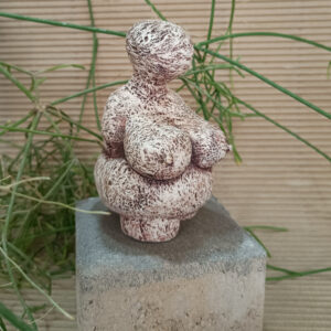 Venus CORTEZA DE ÁRBOL