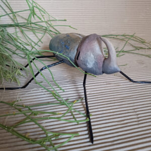 Escarabajo Oryctes Nasicornis