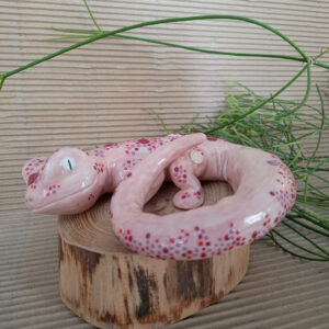 Gecko AMAPOLA