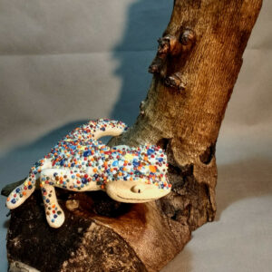 Gecko POP