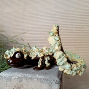 Gecko LIMÓN ESPINOSO