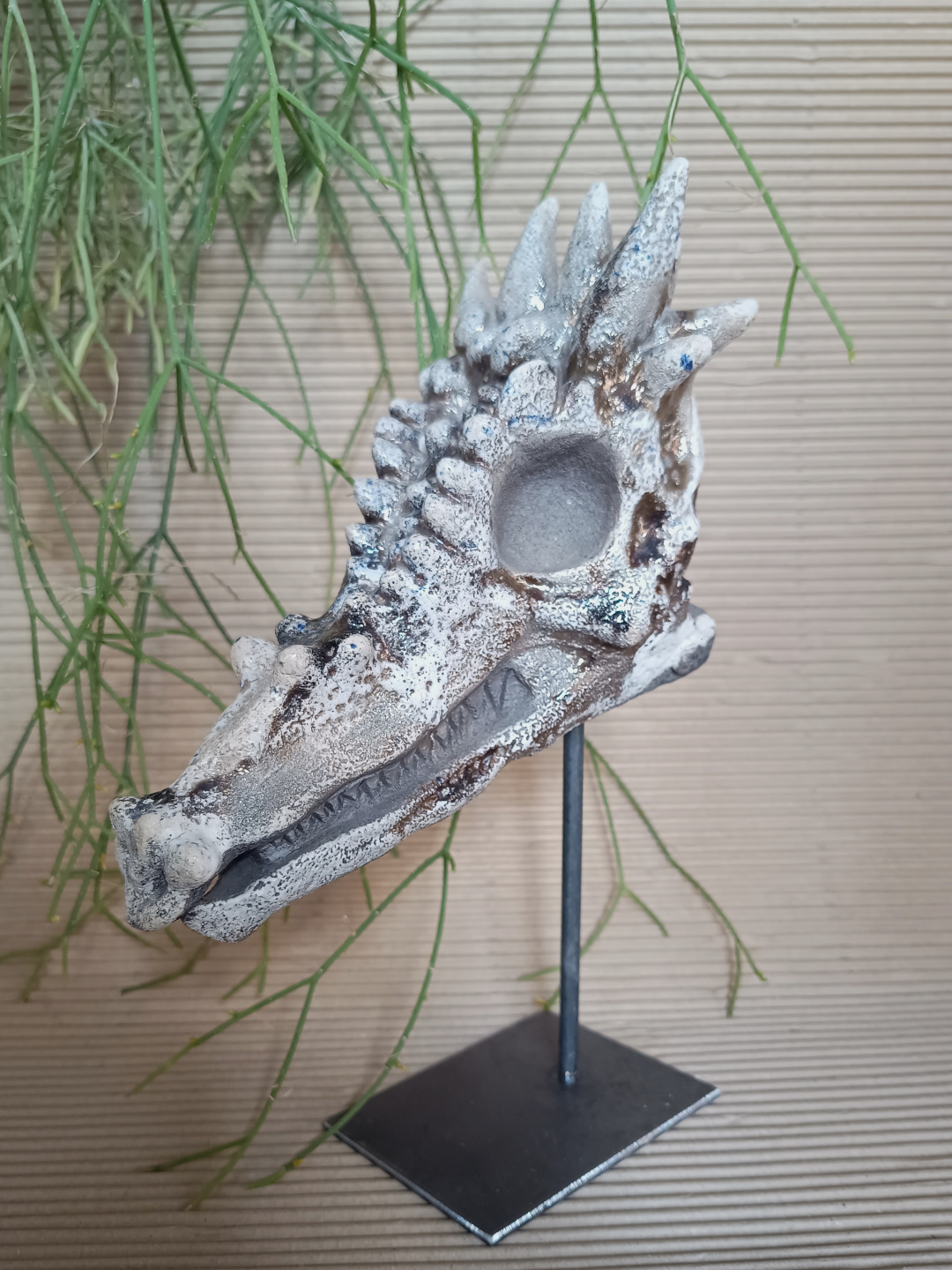 Dracorex Hogwartsia - Imagen 2