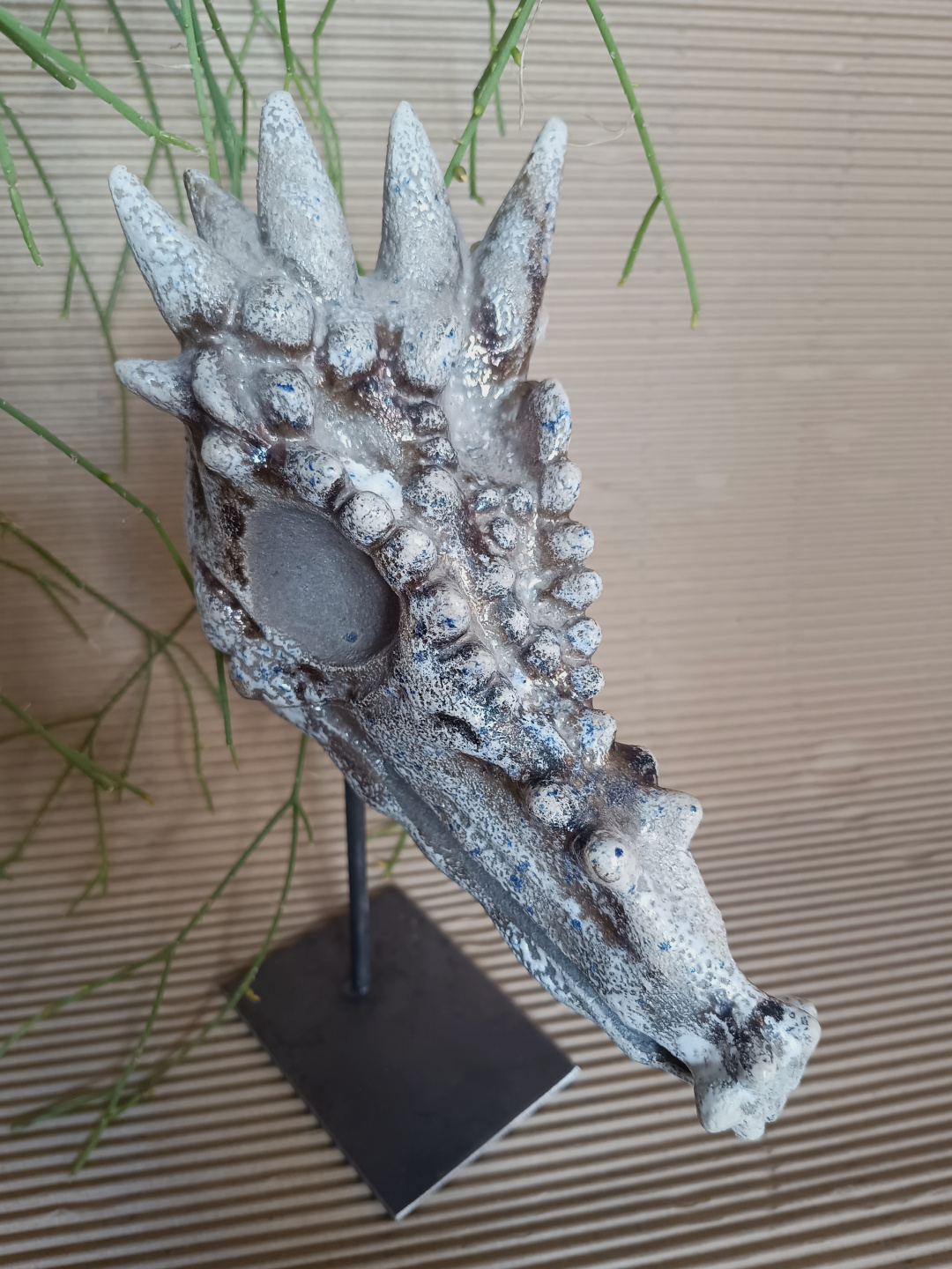 Dracorex Hogwartsia - Imagen 3