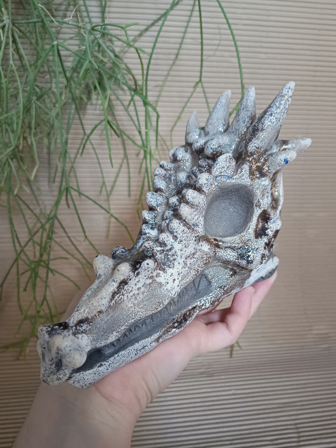 Dracorex Hogwartsia - Imagen 4