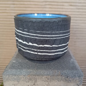 CHATO de porcelana negra