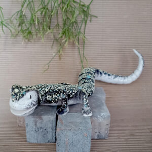 Gecko LIQUEN gigante